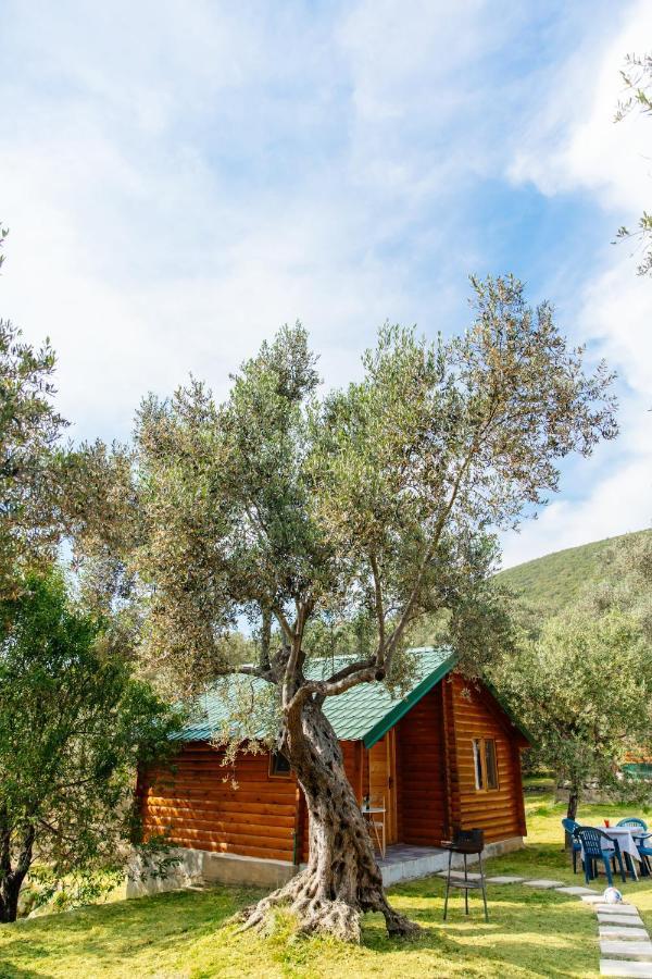 Katana Village Apartment Ούλτσιν Εξωτερικό φωτογραφία