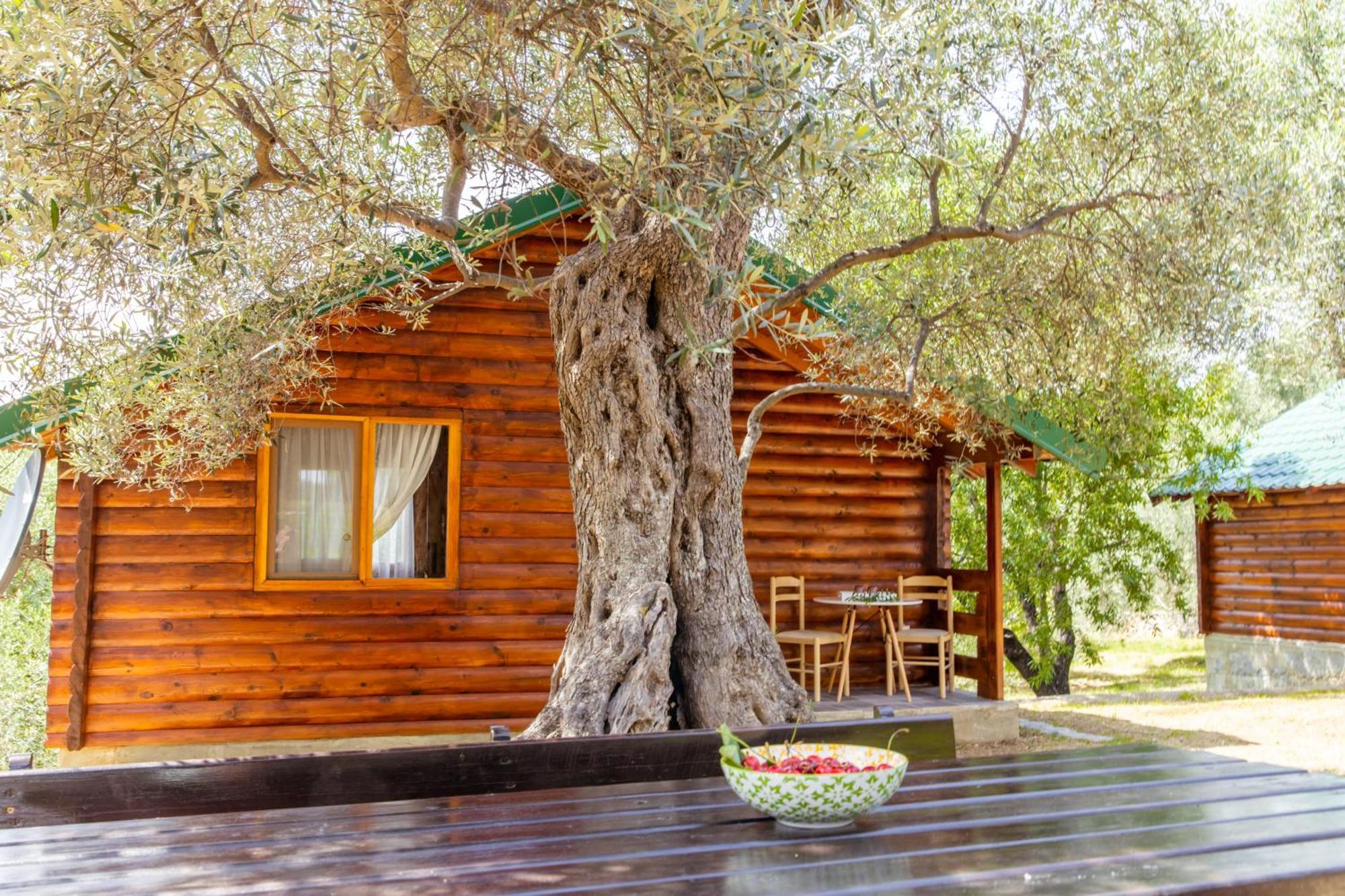 Katana Village Apartment Ούλτσιν Εξωτερικό φωτογραφία